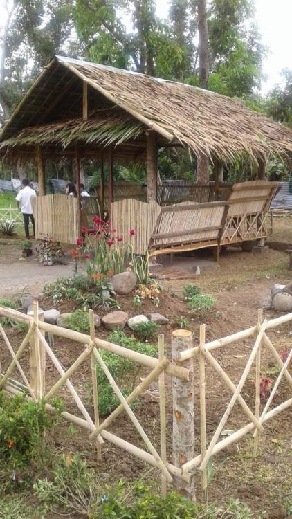 Nipa Hut Competition
