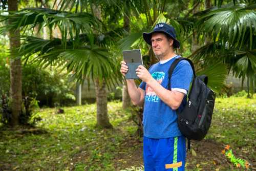 Student Studying on the School Grounds